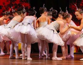 Santo Antônio Faz Arte 2025 celebra os 800 anos do Cântico das Criaturas