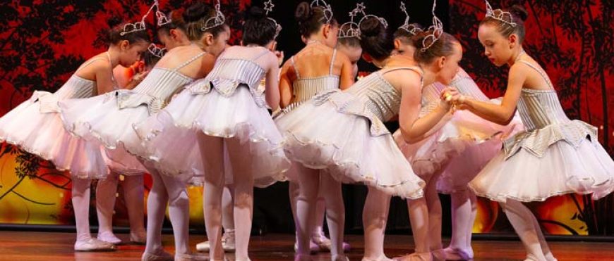 Santo Antônio Faz Arte 2025 celebra os 800 anos do Cântico das Criaturas